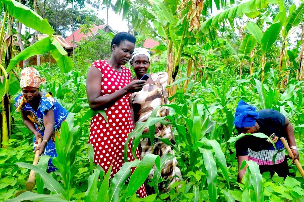 Digital Literacy: Bridging the Gap in African Farming and Trading ...